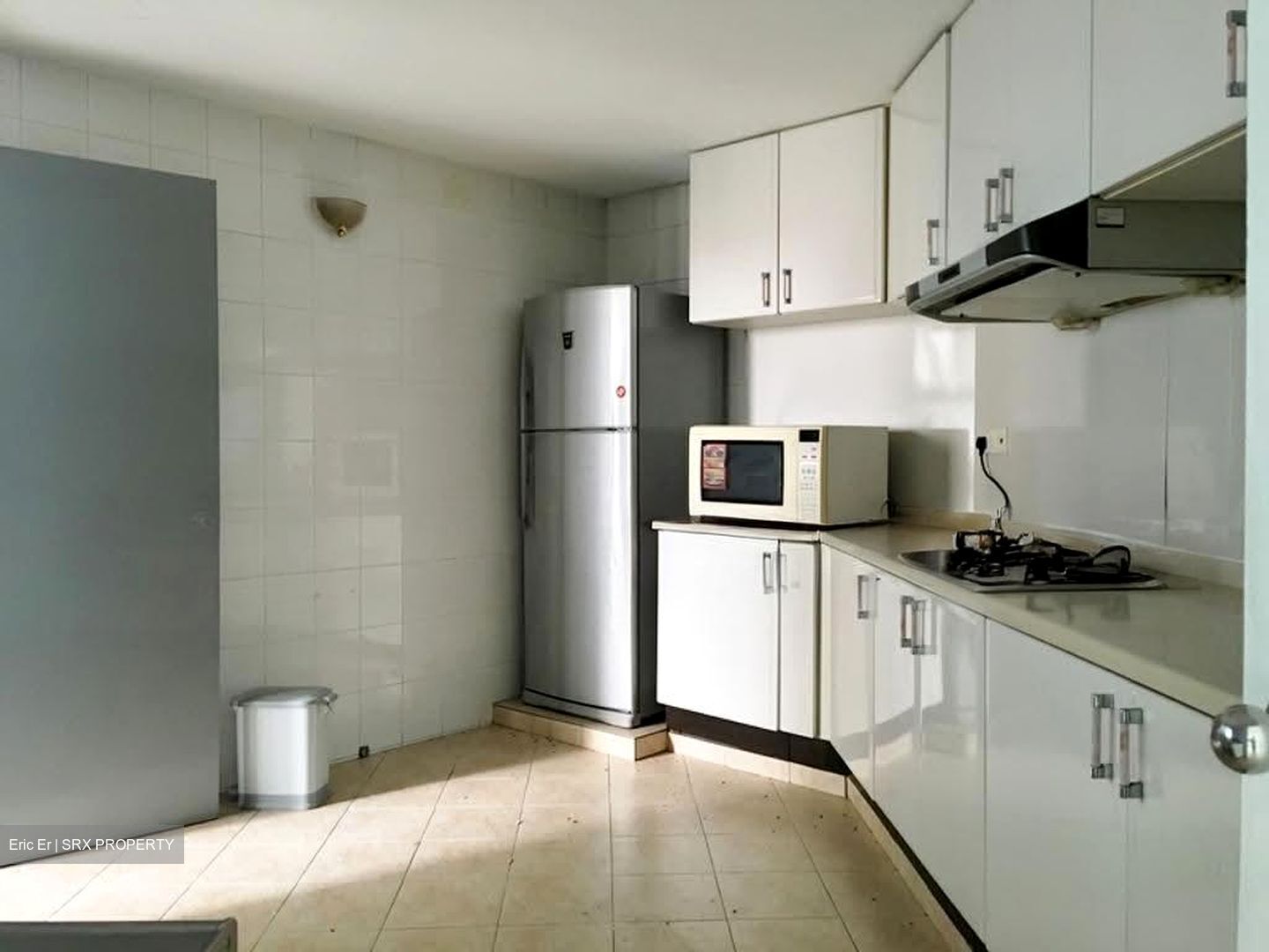 The Waterside (D15), Condominium #617698441
